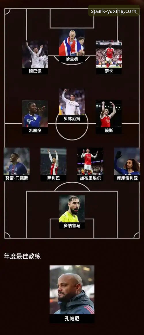 帕尼切利伤退世界杯：从球星陨落看体育资讯平台的深度价值解析